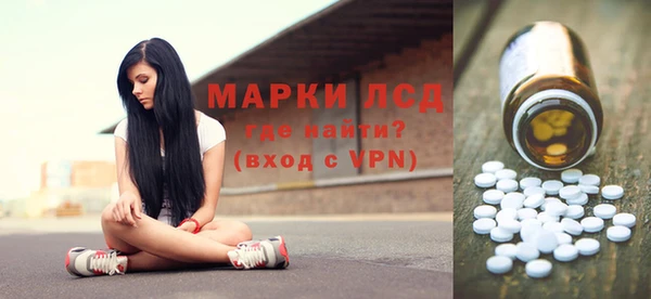 молекула духа Арсеньев