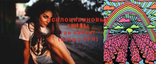 спиды Аркадак