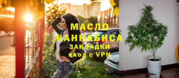 молекула духа Арсеньев