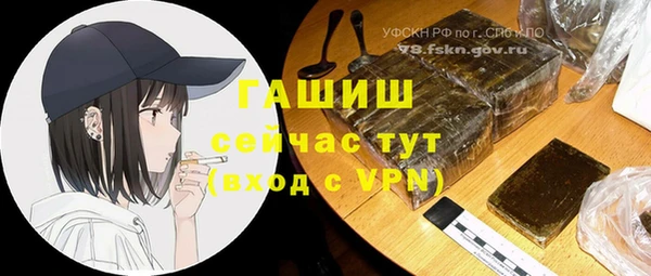 молекула духа Арсеньев