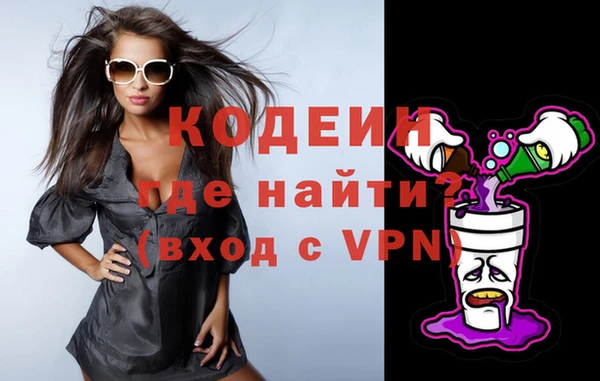 молекула духа Арсеньев
