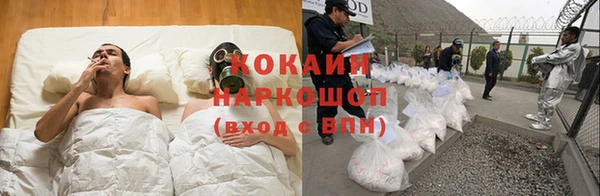 винт Алексин