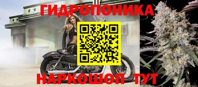 кокс Гусь-Хрустальный
