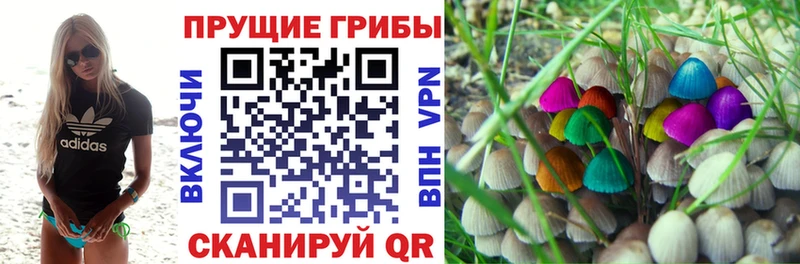 Псилоцибиновые грибы мицелий  Когалым 