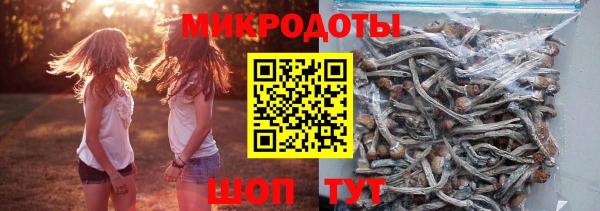 Когалым  Галлюциногенные грибы ЛСД  что такое наркотик  Вход с VPN  Псилоцибиновые грибы Magic Shrooms 